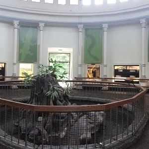 Aug. 2013 - Reptile House