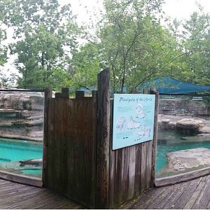 Aug. 2013 - Sea Lion Falls - Above Viewing