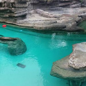 Aug. 2013 - Sea Lion Falls