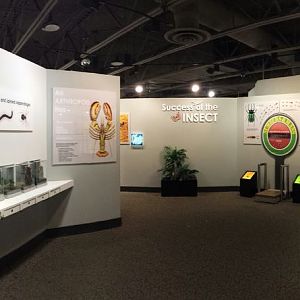 Aug. 2013 - World of the Insect - What is an Insect? Section