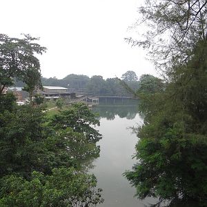 View from the end of the River Safari
