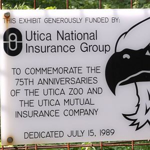 Bald Eagle exhibit sign.