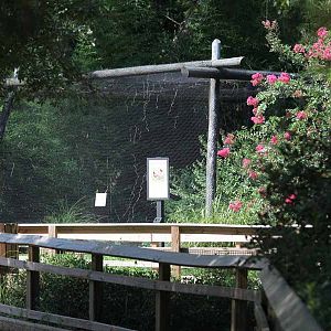 prairie chicken aviary