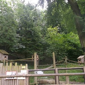 Red Panda Enclosure