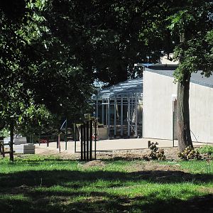 Exhibit of okapis and red river hogs - construction site