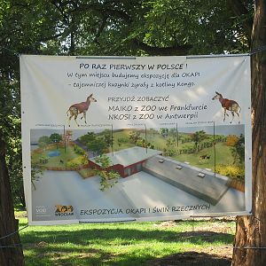 Exhibit of okapis and red river hogs - construction site