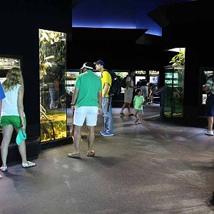 MOLA reptile house