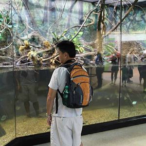 visitor in MOLA reptile house