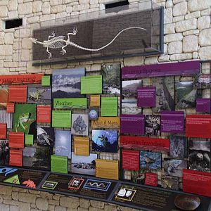 education display inside MOLA