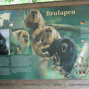 Information sign Black howler monkeys