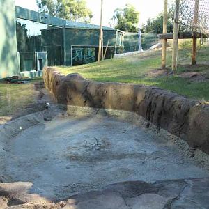 night zoo, Aug 10, 2013