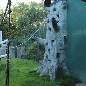 night zoo, Aug 10, 2013