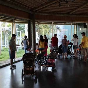 night zoo, Aug 10, 2013