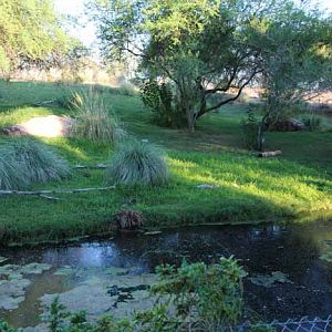 night zoo, Aug 10, 2013