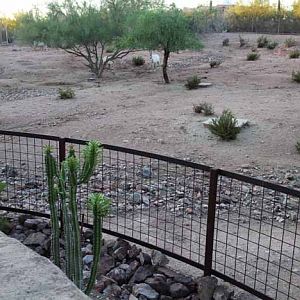 night zoo, Aug 10, 2013