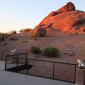 night zoo, Aug 10, 2013