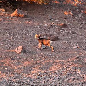 night zoo, Aug 10, 2013