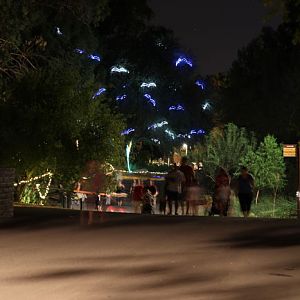 night zoo, Aug 10, 2013