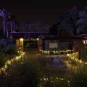 night zoo, Aug 10, 2013