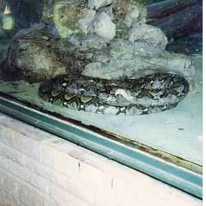 Scanned Catskill Game Farm Photo