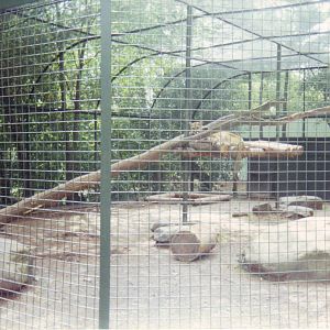 Scanned Catskill Game Farm Photo