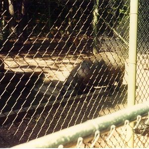 Scanned Catskill Game Farm Photo