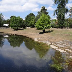 Leachwe Waterbuck paddock