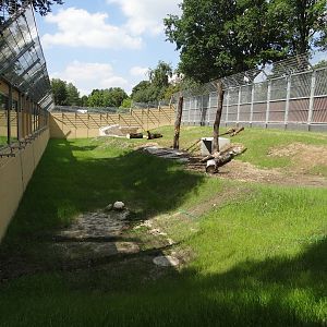 Tiger enclosure under construction