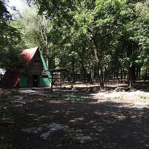Pere David Deer paddock