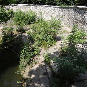 Brown Bear enclosure
