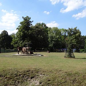 Defassa Waterbuck paddock