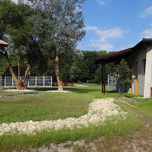 Nearly finished new giraffe house and paddock