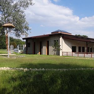 Nearly finished new giraffe house and paddock