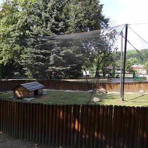 Spurred Tortoise enclosure