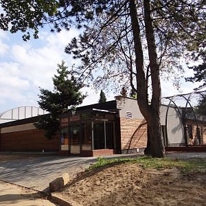 New Free-flight aviary/Crocodile house