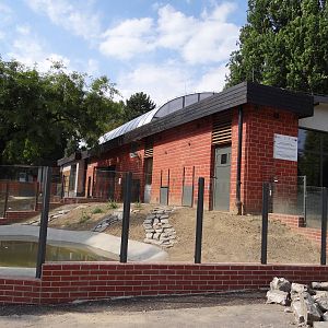 New Free-flight aviary/Crocodile house