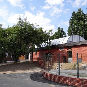 New Free-flight aviary/Crocodile house