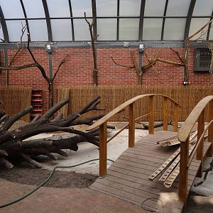 New Free-flight aviary/Crocodile house