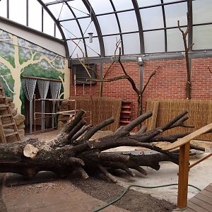 New Free-flight aviary/Crocodile house