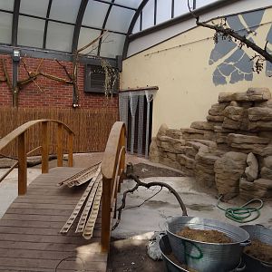 New Free-flight aviary/Crocodile house