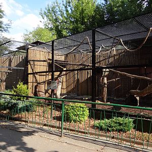 Small carnivores cages