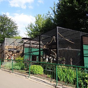 Small carnivores cages