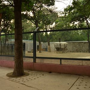 Construction in ungulate area