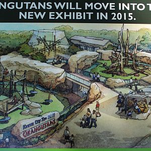 New Orang Exhibit Design Announced