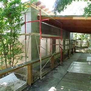 Patas Monkey Exhibit Construction