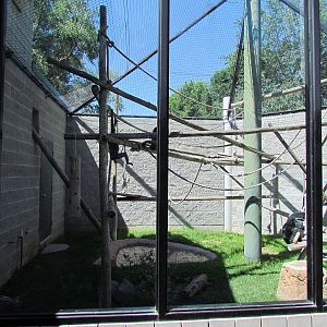 Primate Discovery Center - Outdoor Gibbon Exhibit
