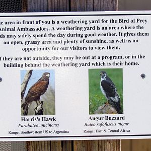 Sign for Education Raptor Weathering Yard