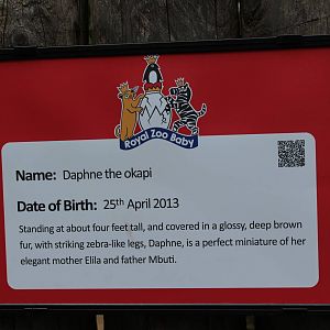 Hopeless royal baby bandwagon-jumping August 2013