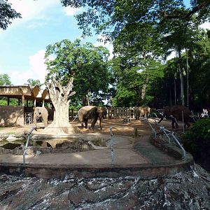 Elephant enclosure, May 2013.