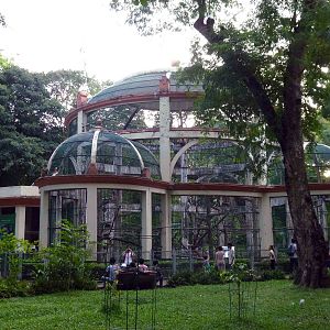 Primate cages, May 2013.